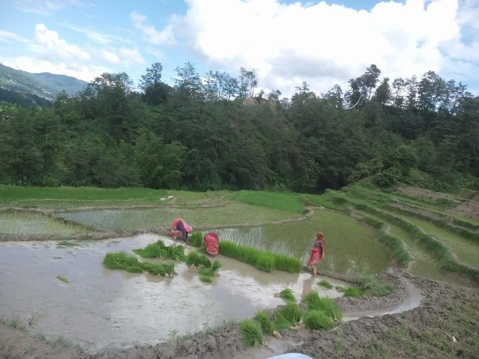 Changu Newa Homestay Bhatgoan エクステリア 写真